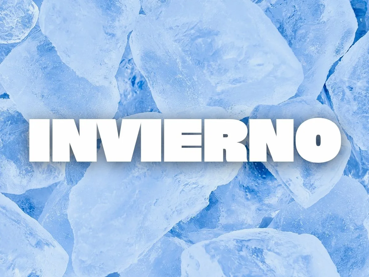 Platos de Invierno